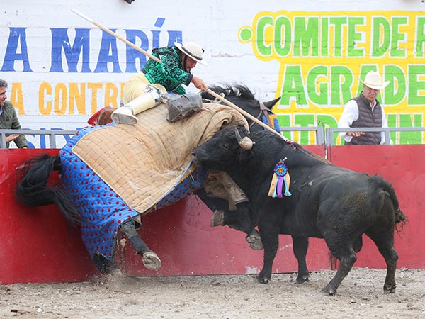 La pelea en el peto