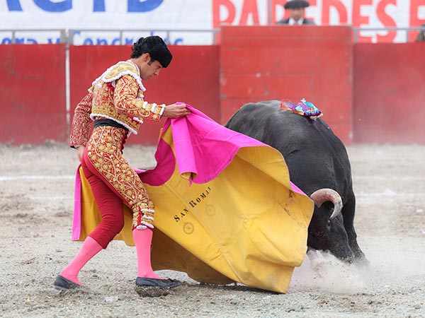 Haci�ndose del ejemplar