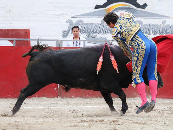 Cornada cerrada en la ejecuci�n