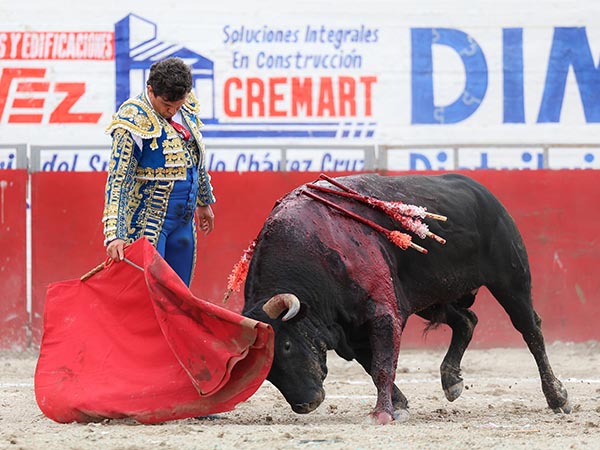 Reposo de matador