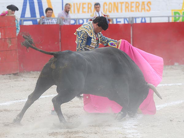 El Chihuahua, primer espada