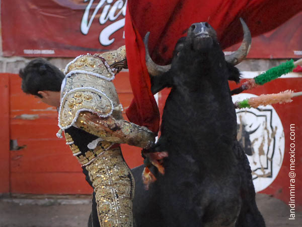 Ajustadas bernadinas