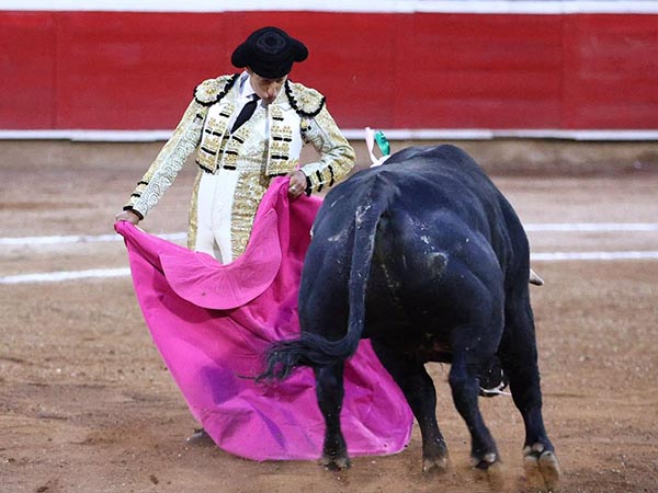Las chicuelinas de Luis Ignacio