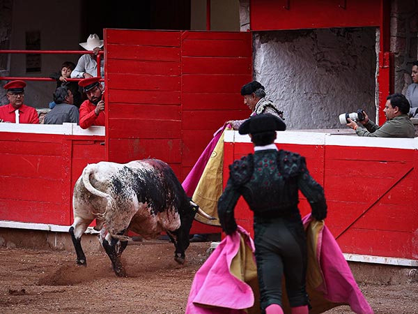 De regreso a los potreros