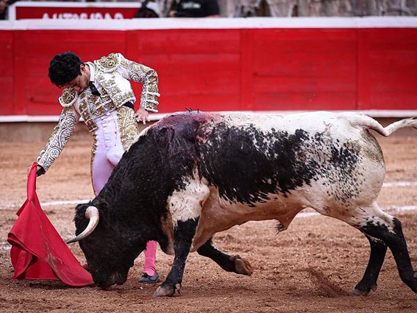Trazo preciso y muleta llevada con armon�a