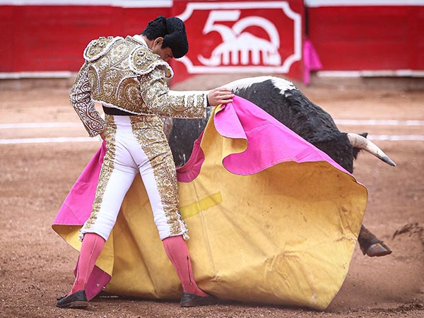 Platerito se encontr� un buen toro