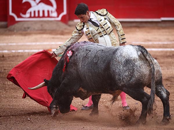 Mando zacatecano