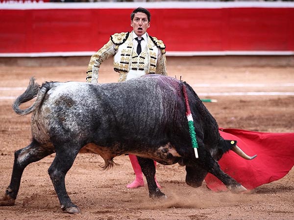 Desprecio