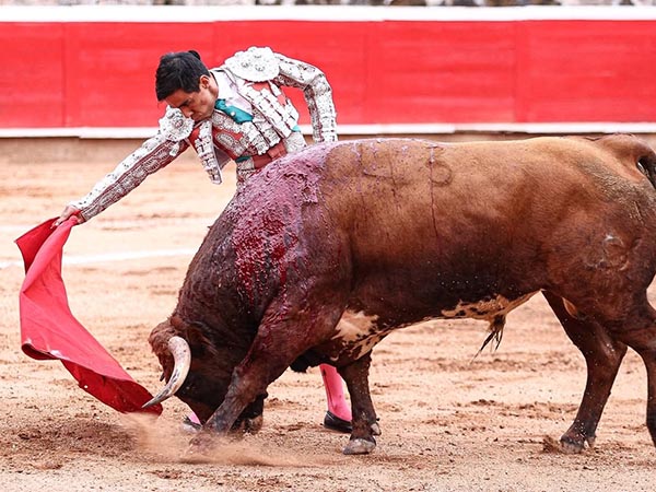 Trazo largo
