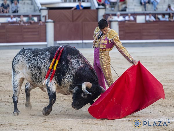 Luci� por el pit�n izquierdo