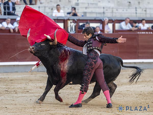 Remate de pecho