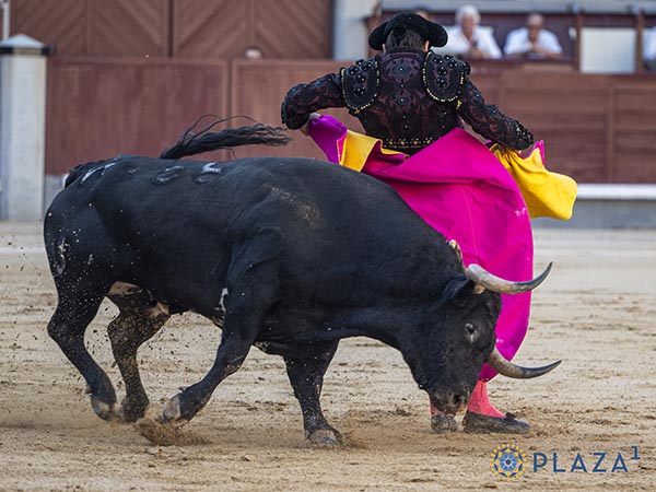 Valor a toda prueba