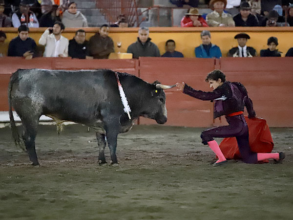 Dominio