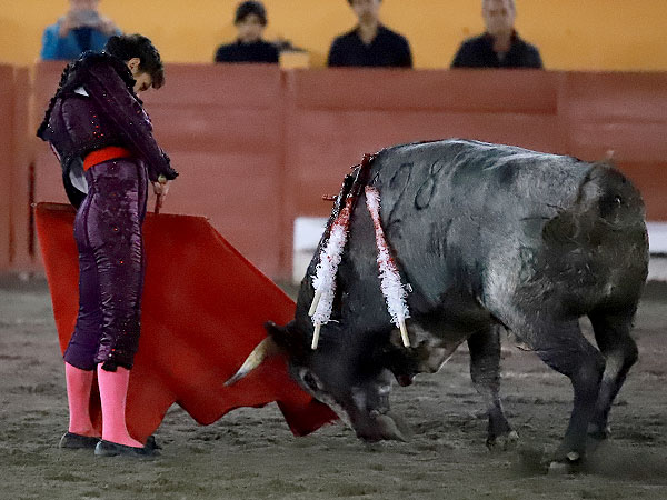 Calidad en la embestida