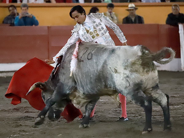 Meti�ndolo en la muleta