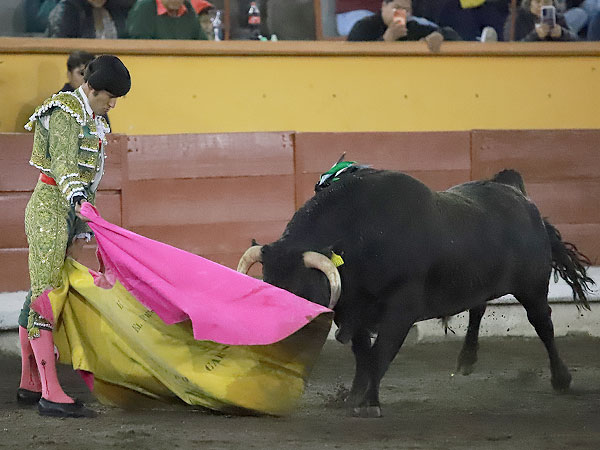 Enrique Mejorada