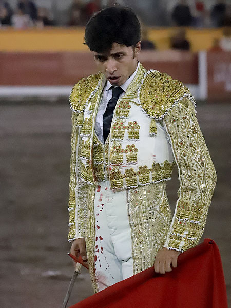 Voluntad y torer�a