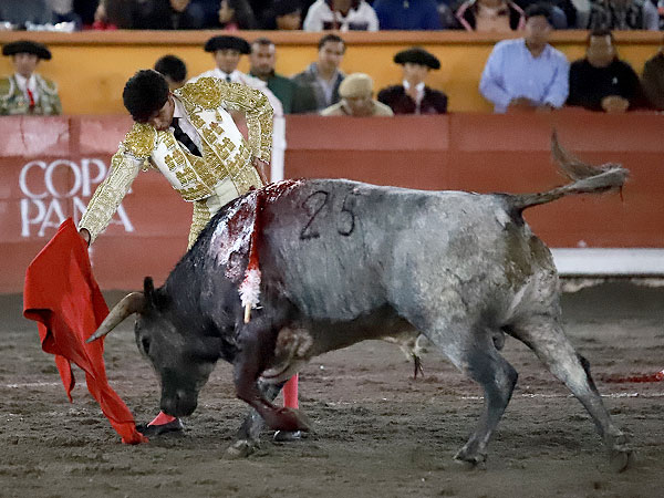 Tauromaquia madura