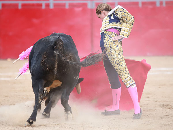 Suavidad en el trazo