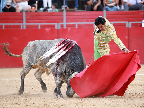 Faena de Gran nivel