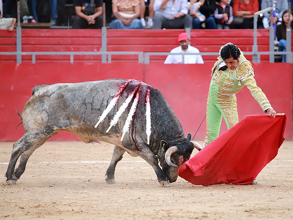 Un toro extraordinario