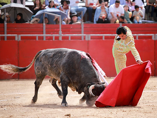Un torero con sello