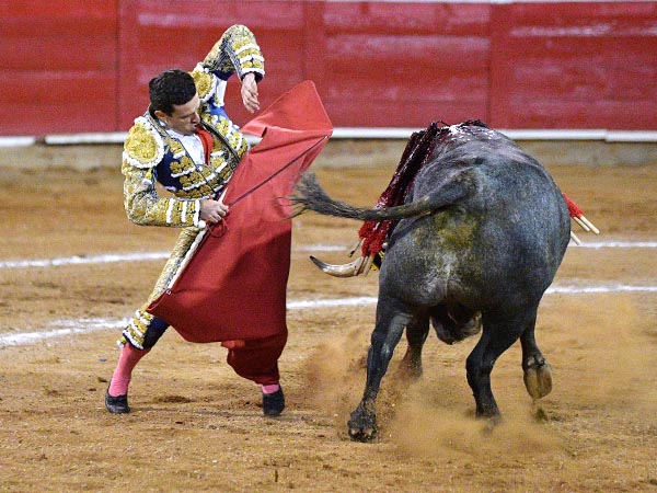 Enjundia en la lidia