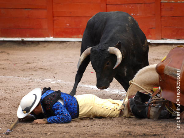 Javier Prado en peligro