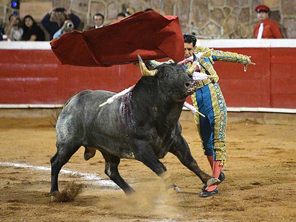 Pocas opciones en su lote