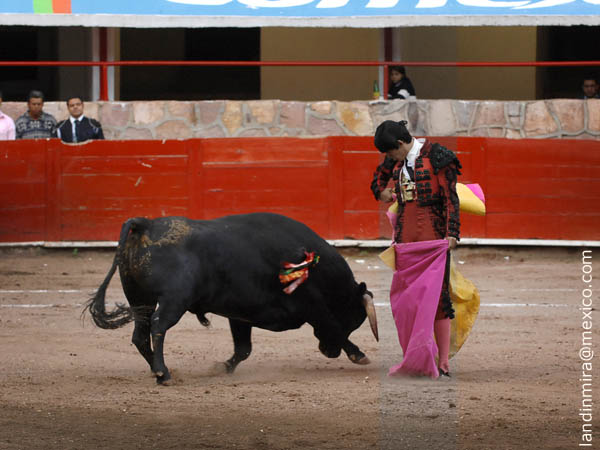 Chicuelinas en los medios