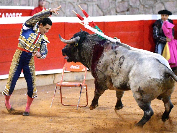 Adornando el morrillo