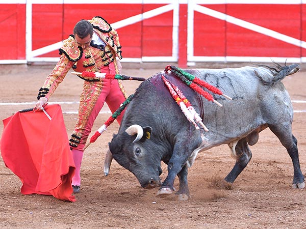 Conect� con el tendido