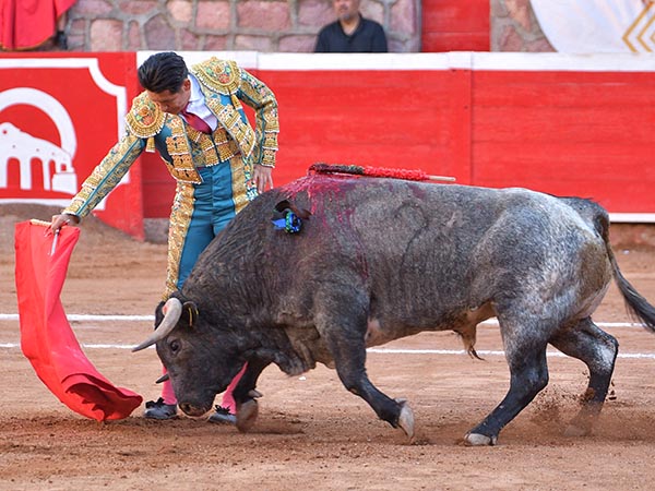 El derecho del c�rdeno