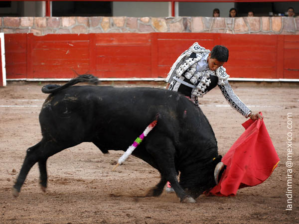 Naturales zacatecanos