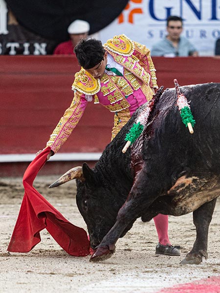 Marcando el camino