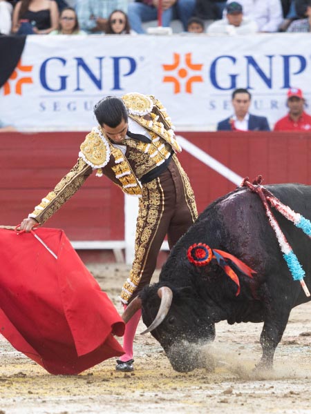 Rozando la arena