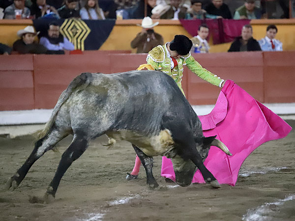 La cadencia de Jes�s Sosa