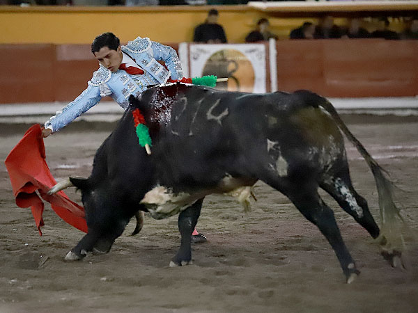Un toro con trasmisi�n