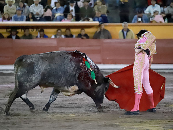 Matador Jos� Alberto Ortega