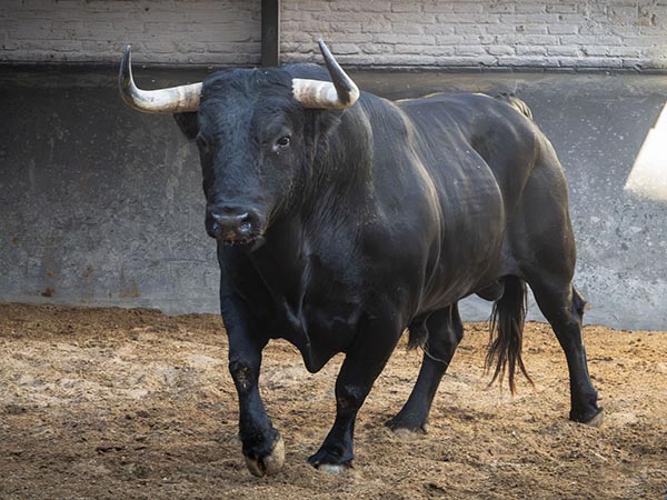 No. 918, 