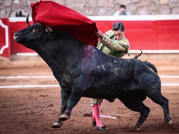 Remate por alto