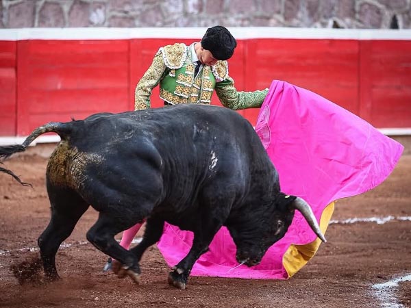 Mecidas ver�nicas