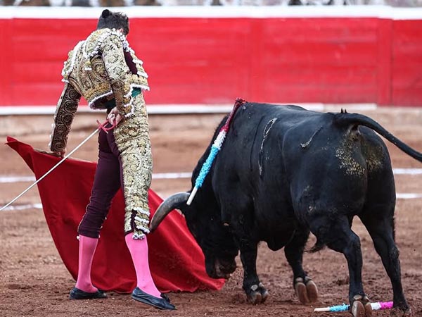 Reposo torero