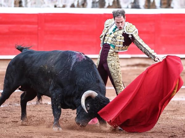 Tirando del negro