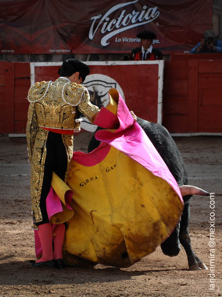 Chicuelinas de Garza-Gaona