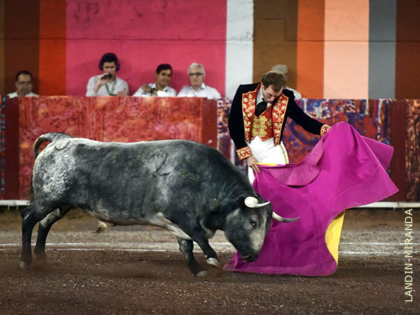 Vibrantes ver�nicas en el saludo