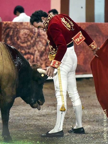 Se confi� y le ech� mano