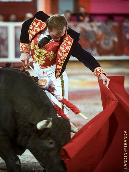 Enjundia torera