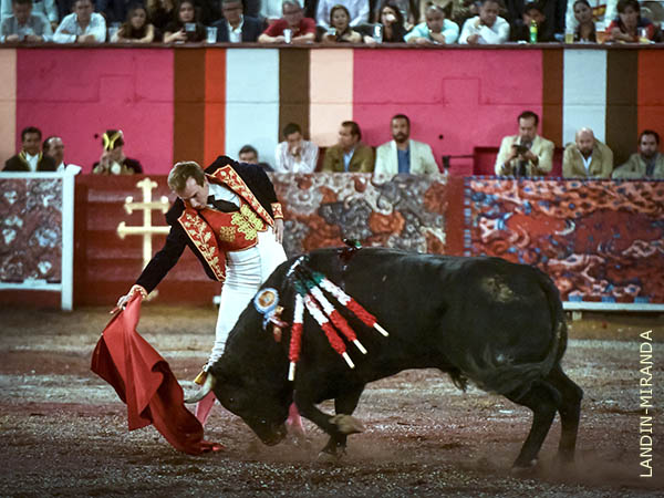 Unas cuantas embestidas humillado