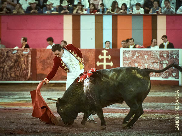 Trat� a toda costa, de resolver